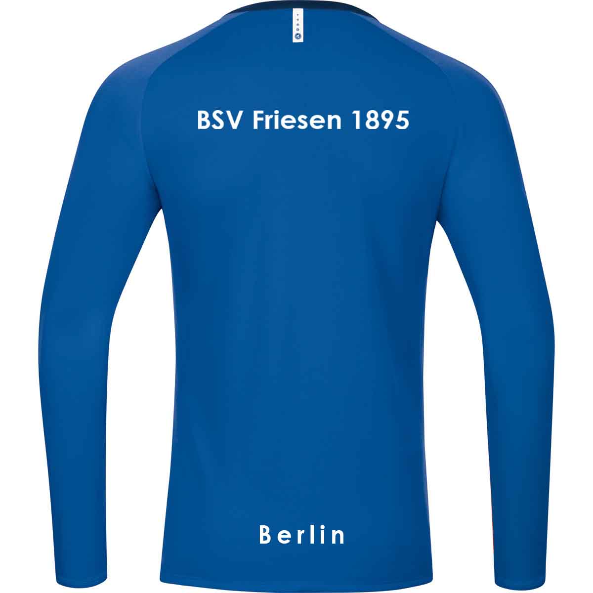 Langarm-Shirt, Erwachsene und Kids | BSV Friesen 1895