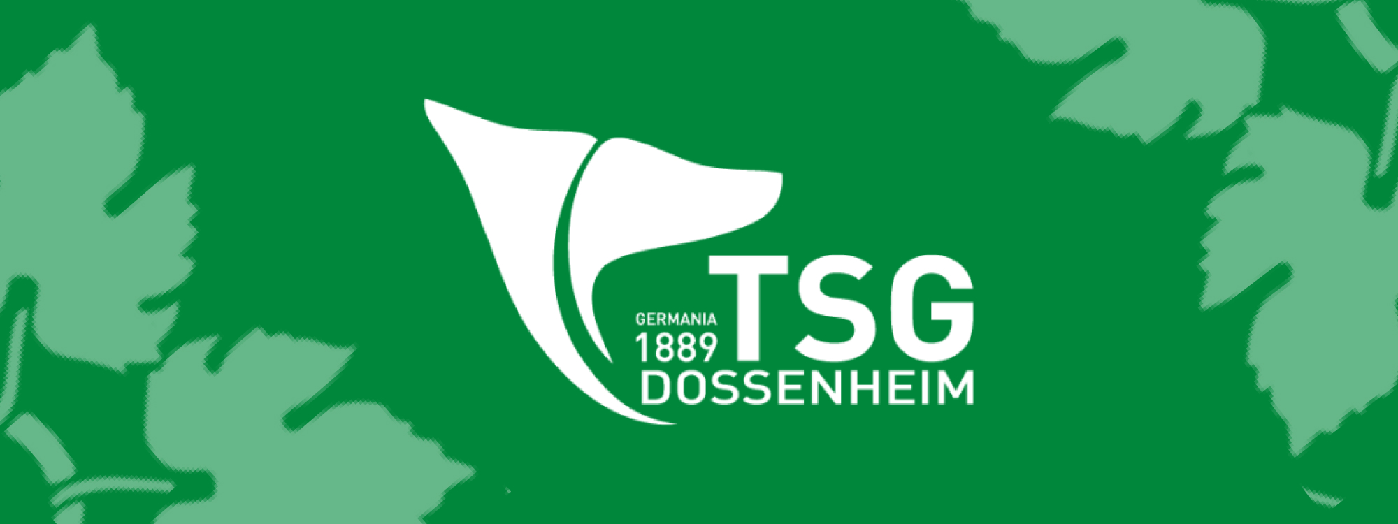 TF_TSGD_Schwimmen_Titelbild