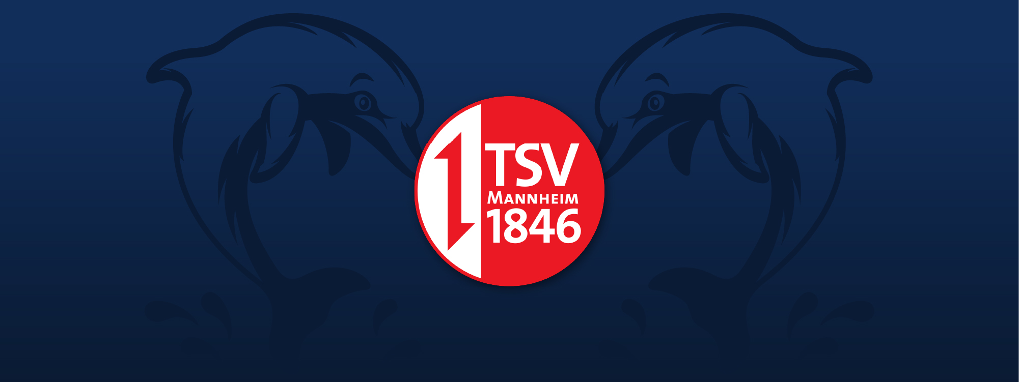 TF_TSVM_Titelbild