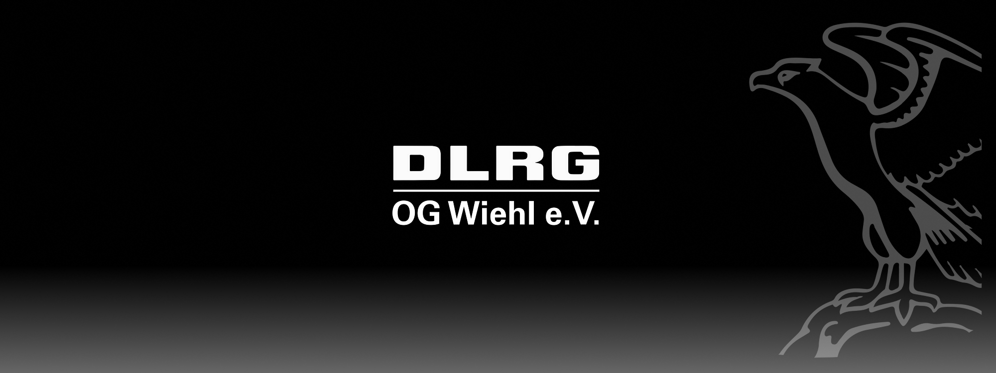 TF_DLRGG_Titelbild-1