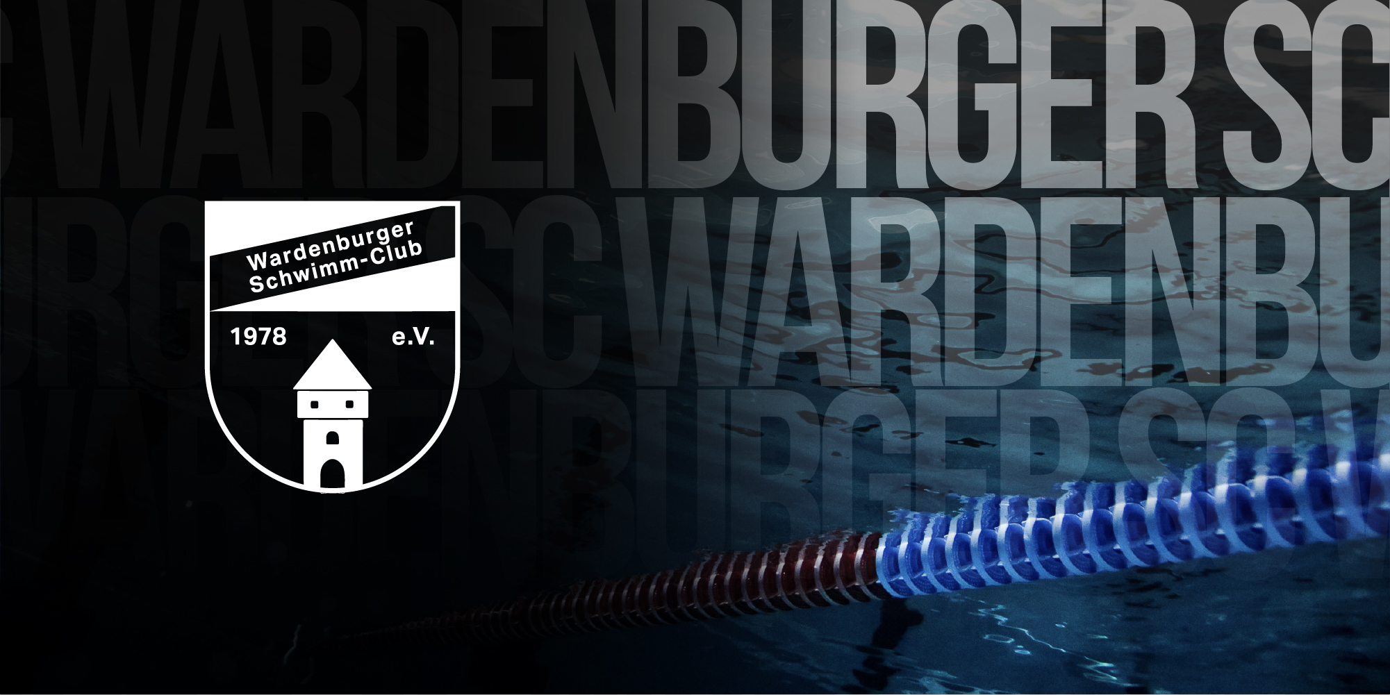TF_WSC_Banner