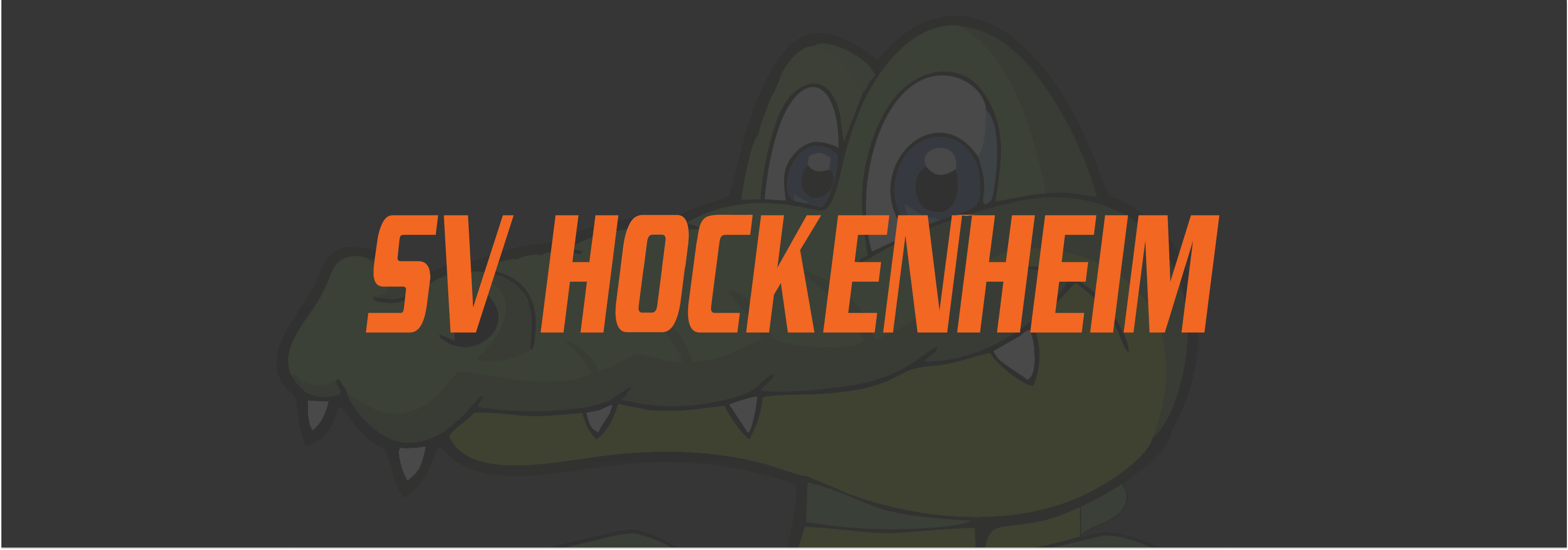 TF_SVHO_Banner