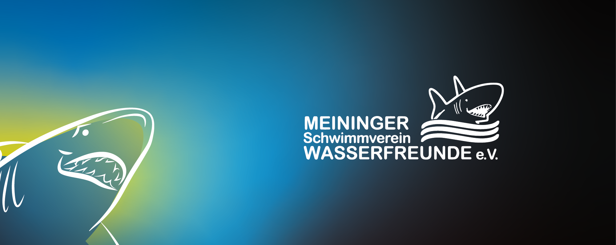 TF_MSVW_Banner